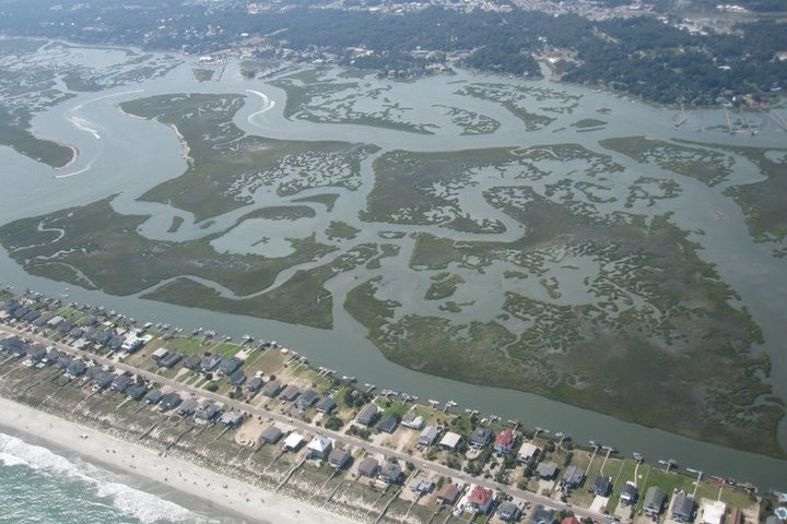 a flock of birds standing on top of a mountain