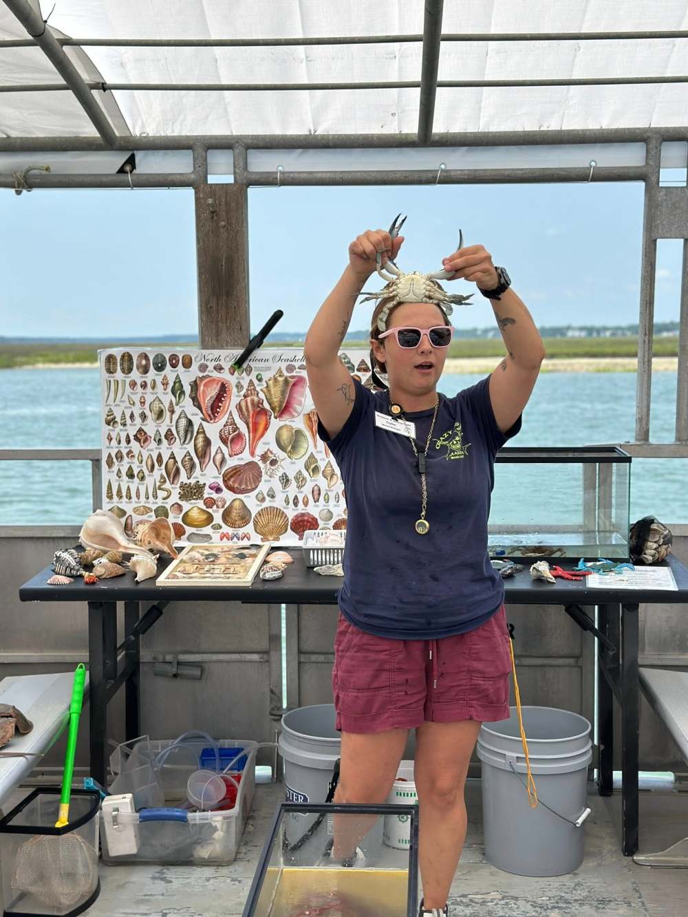 Person holding marine objects, standing on a boat, with seashell chart in background.